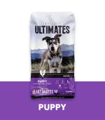 Puppy Chicken Meal & Rice