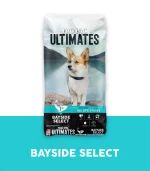 Dog Bayside Select