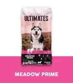 Dog Meadow Prime