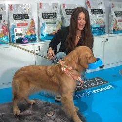 latinpetshow-2025-3
