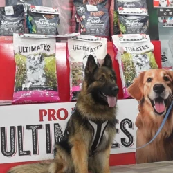 latinpetshow-2025-5